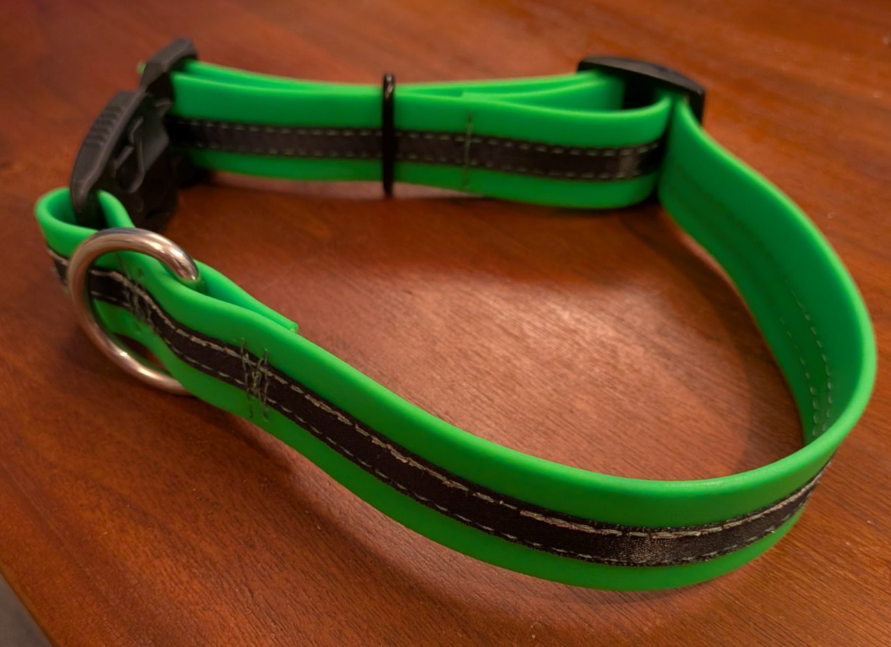 D-Ring Magnetic Collar with customizable colors and magnetic buckle