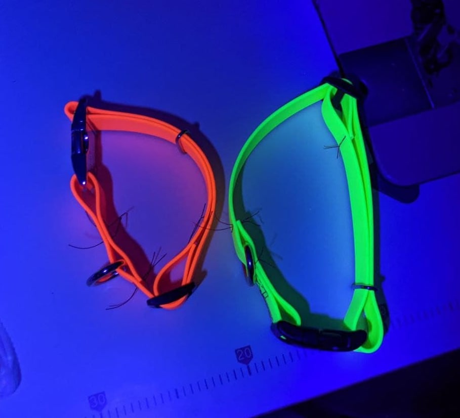 Collar color options thumbnail